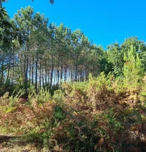 Viva La Vida Kids Friendly Refait A Neuf 10p Bourg 펜션